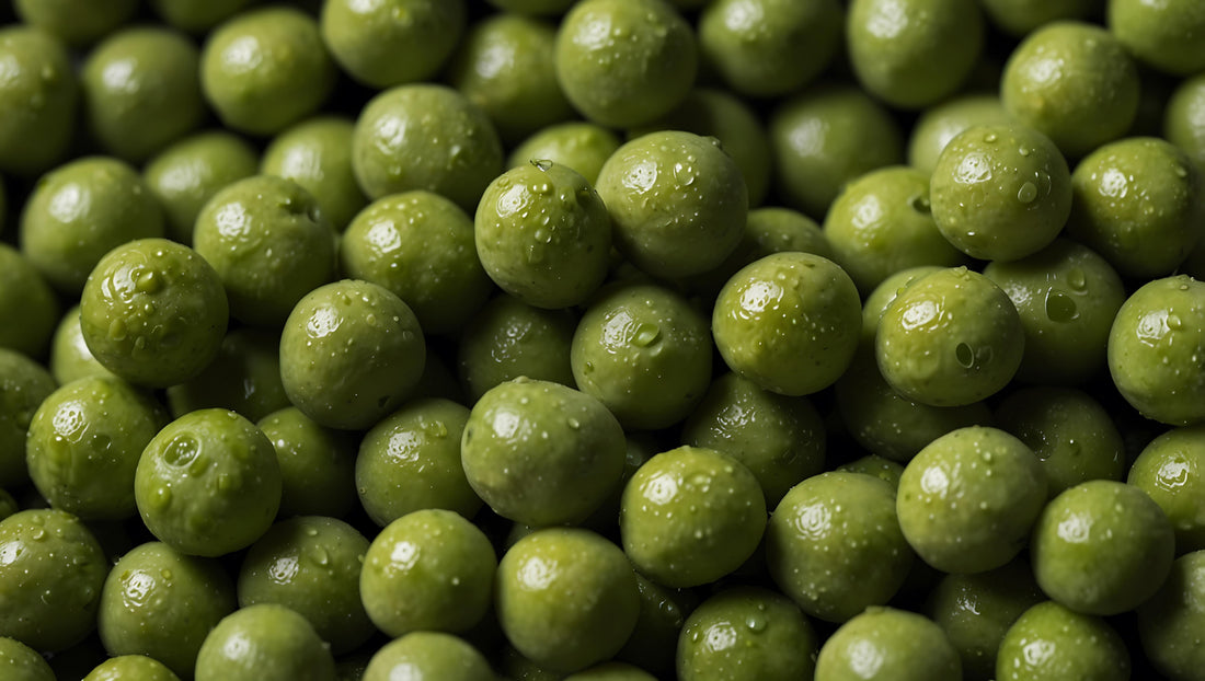 Top or Best Email Campaign Design Services in Okayama, Japan