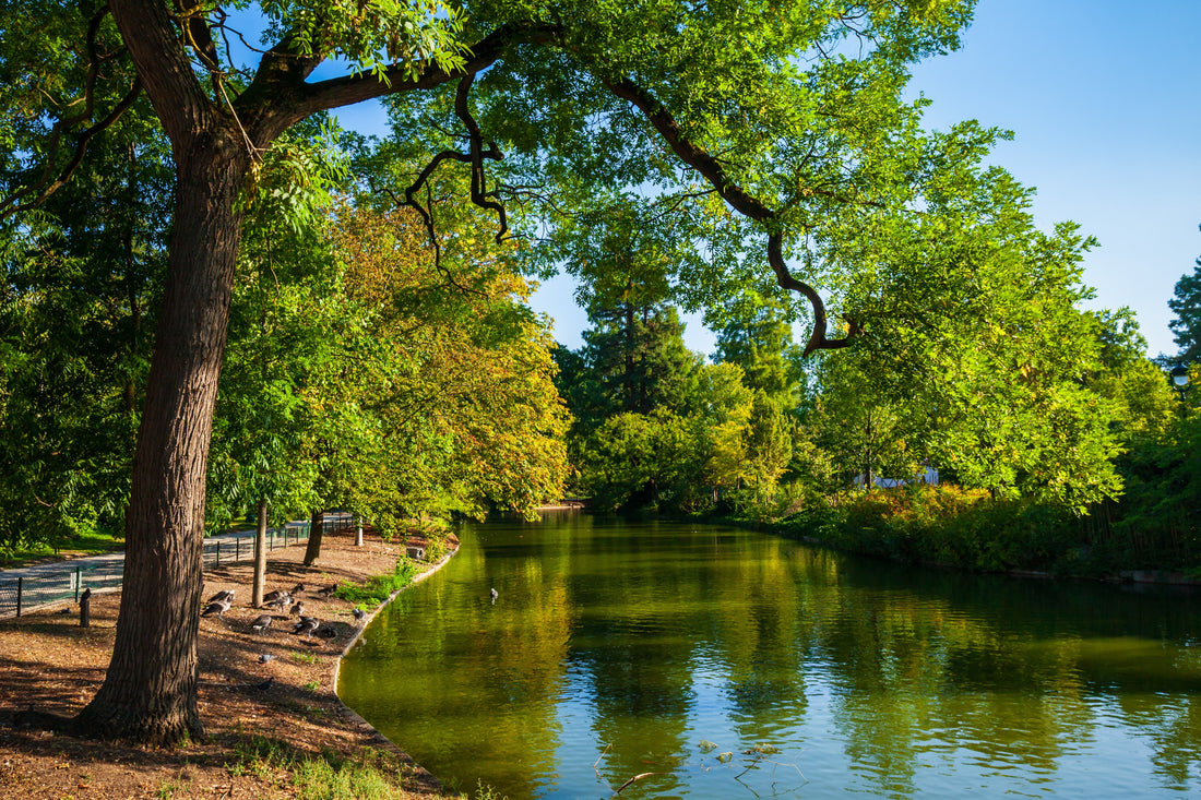 Top or Best TikTok Management Agencies and Companies in Bordeaux, France