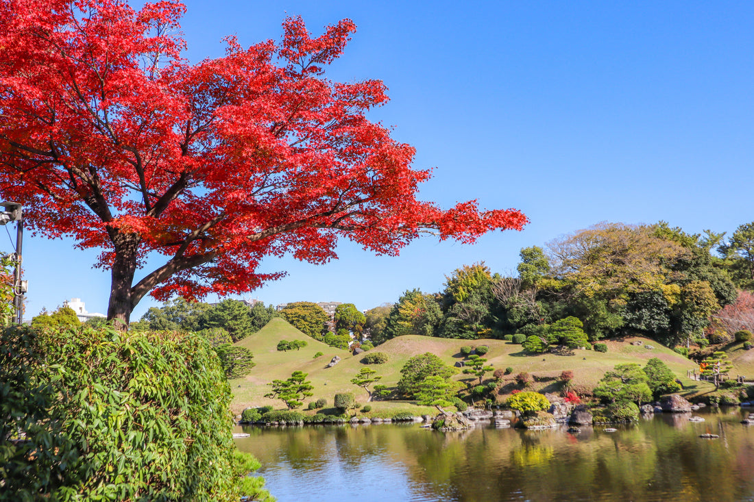 Top or Best Influencer Marketing Campaign Agencies in Okayama, Japan