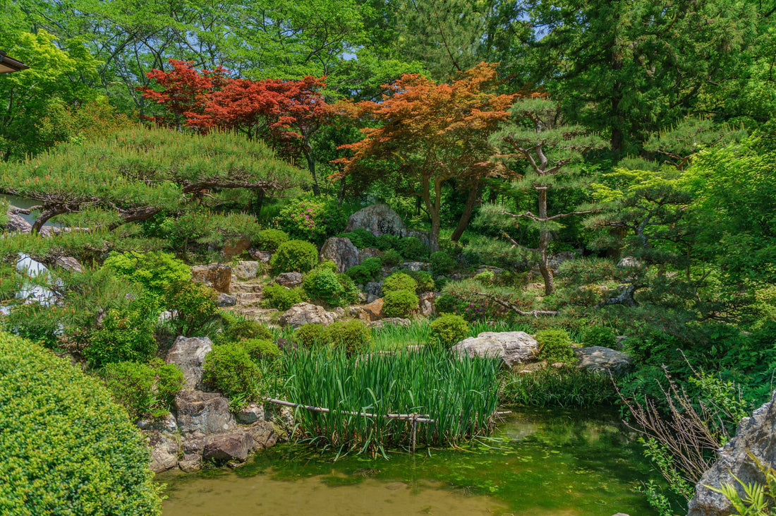 Top or Best Animation & Motion Graphics Agencies and Companies in Hamamatsu, Japan