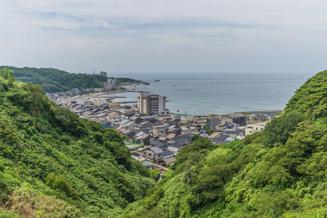 Top or Best Infographic Design Agencies and Companies in Niigata, Japan