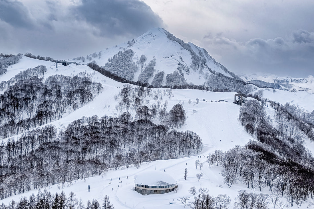 Top or Best Brand Partnership Agencies in Niigata, Japan