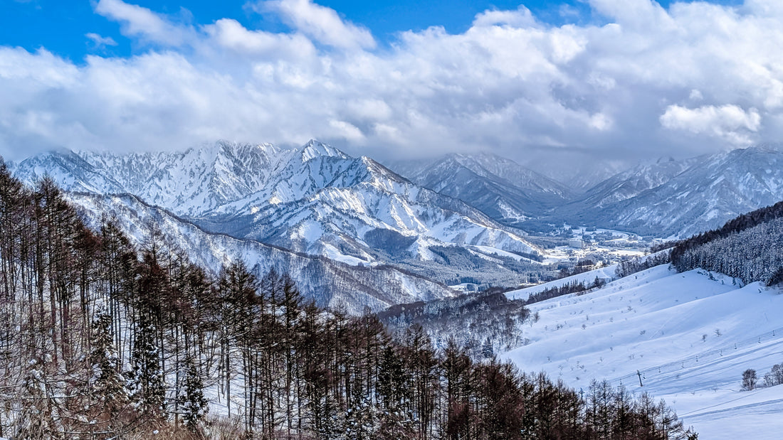 Top or Best Influencer Brand Collaboration Agencies in Niigata, Japan