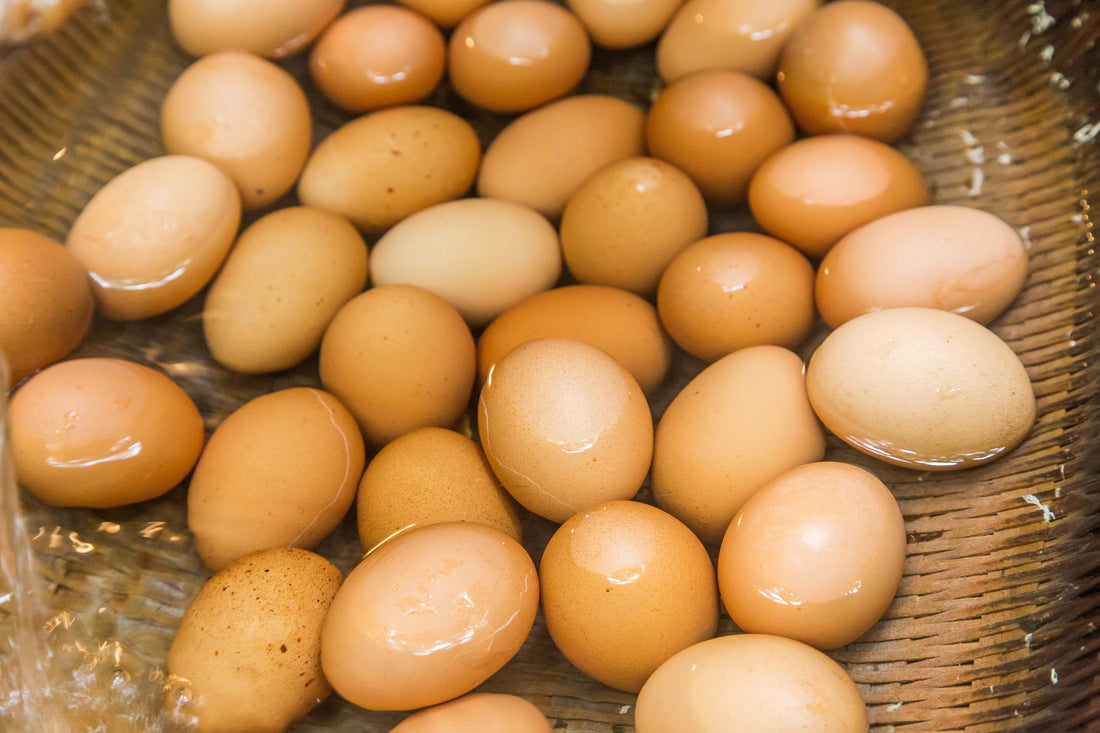 Top or Best Influencer Management Agencies and Companies in Kumamoto, Japan