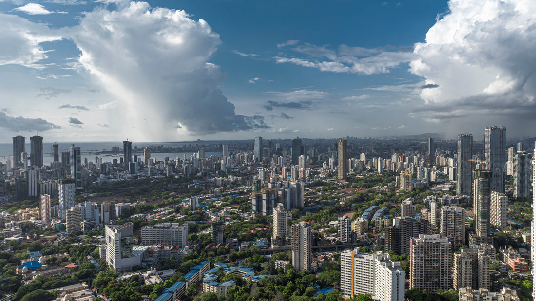 Top or Best X (Twitter) Management Strategies in Mumbai, India