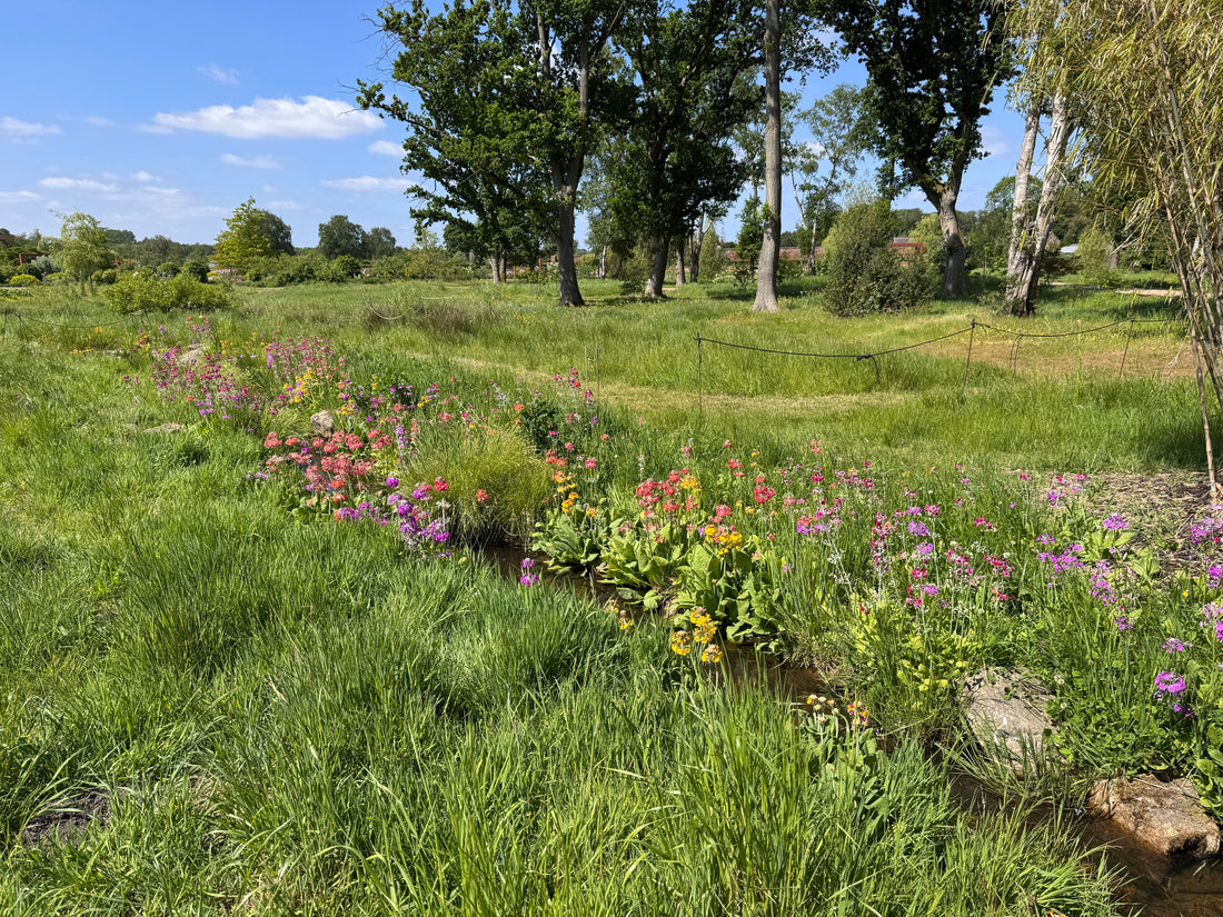 Top or Best Logo Animation Services and Companies in Manchester, England