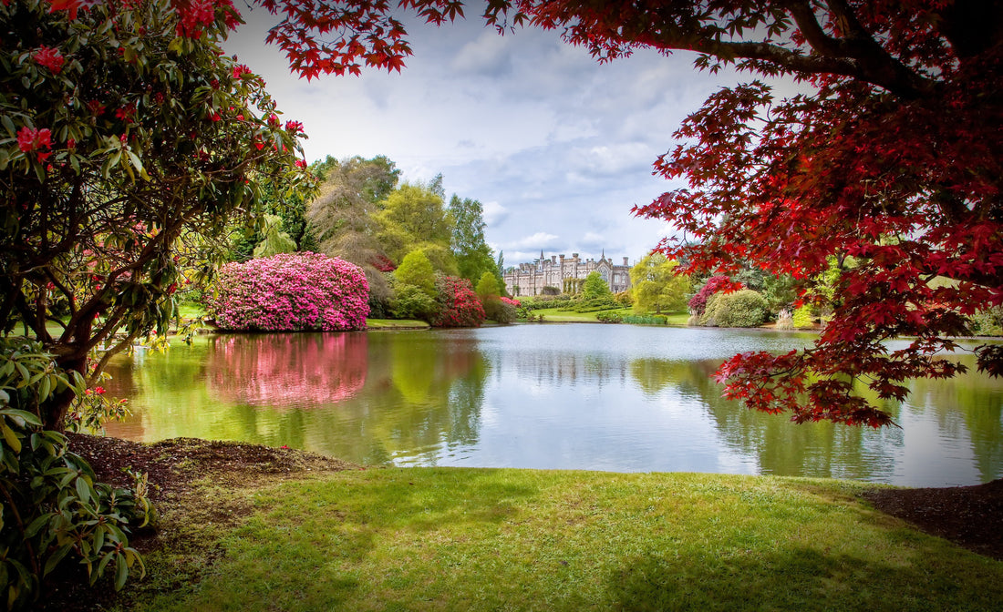 Top or Best Album Cover Design Agencies and Companies in Sheffield, England