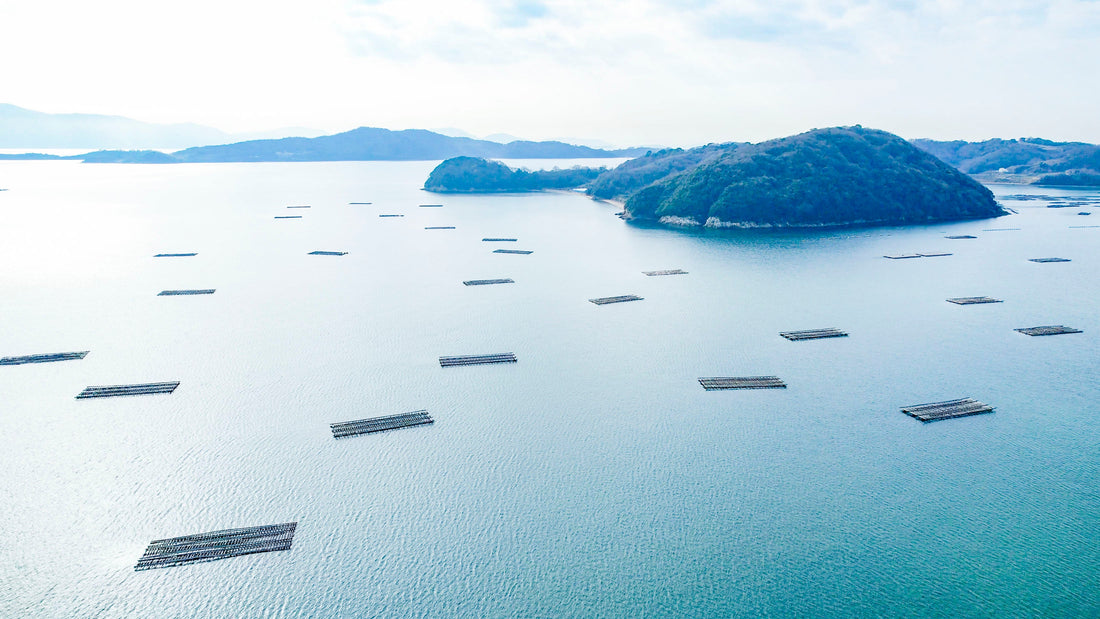 Top or Best Talent Management Agencies in Okayama, Japan