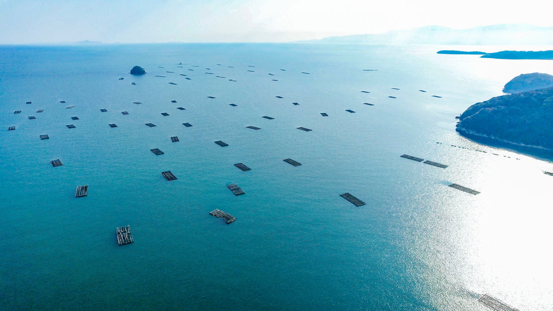 Top or Best Influencer Campaign Strategy Agencies in Okayama, Japan