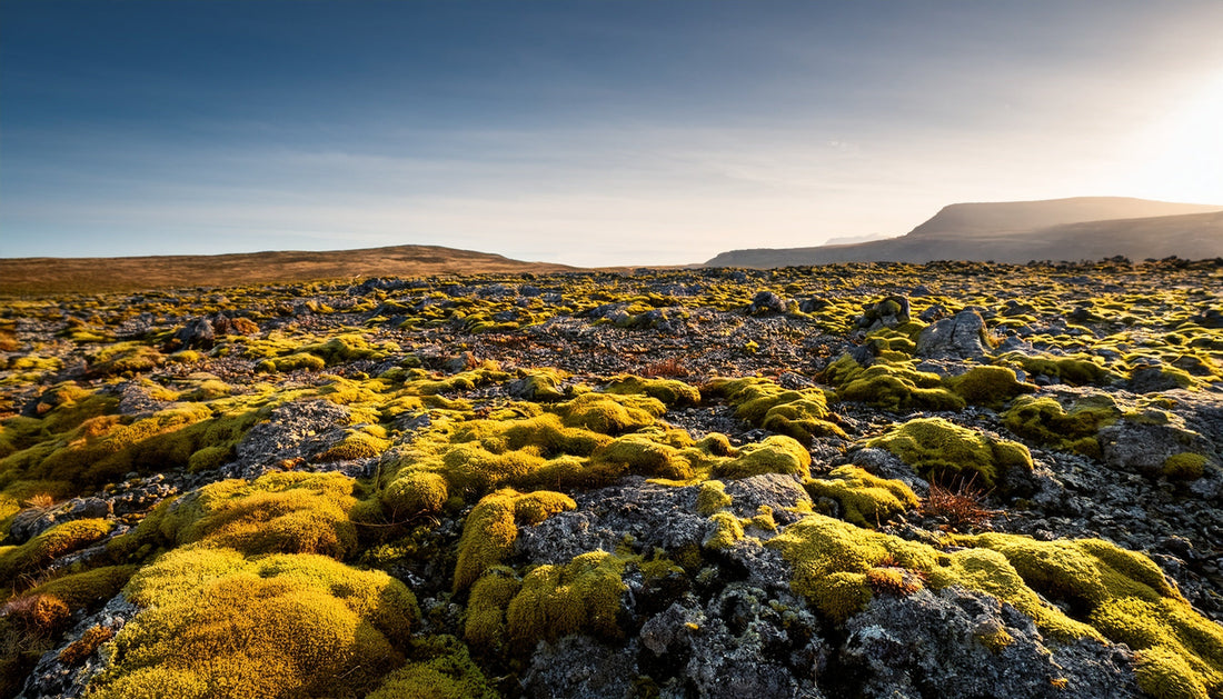 Top or Best Presentation Design Agencies and Companies in Kumamoto, Japan