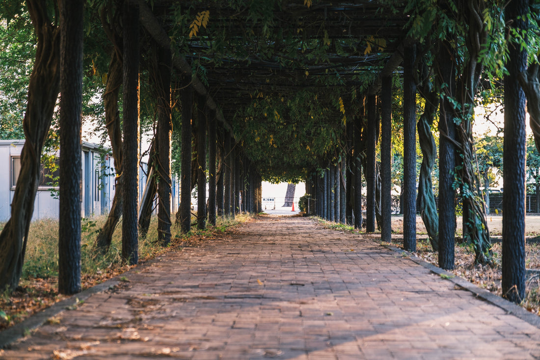 Top or Best Influencer Outreach &amp; Coordination Agencies in Okayama, Japan