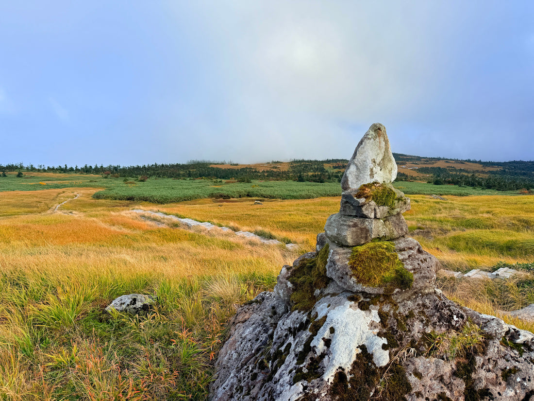 Top or Best Snapchat Management Agencies in Niigata, Japan