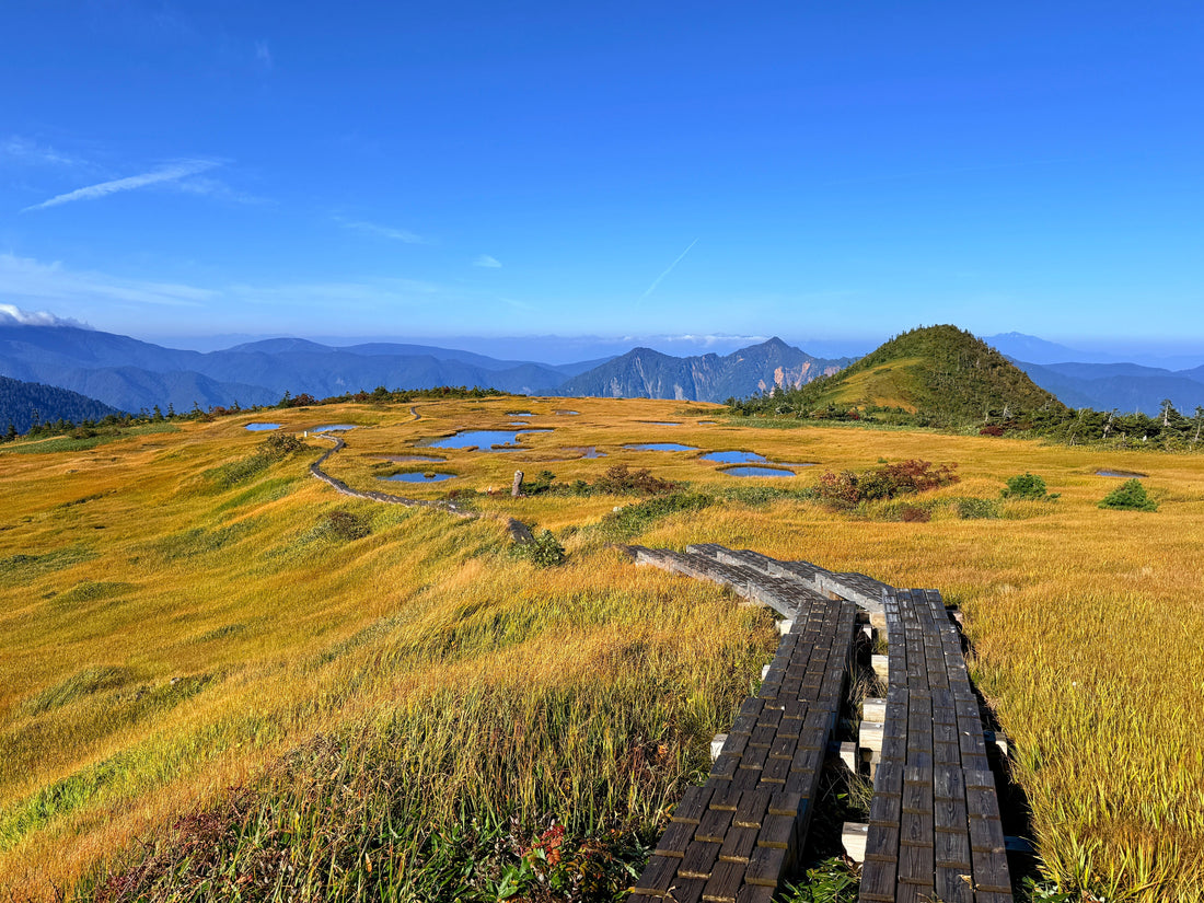 Top or Best Video Editing Subscription Services in Niigata, Japan