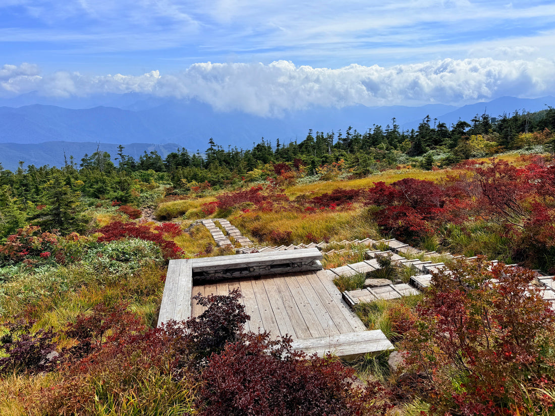 Top or Best Presentation & Design Agencies & Companies in Niigata, Japan