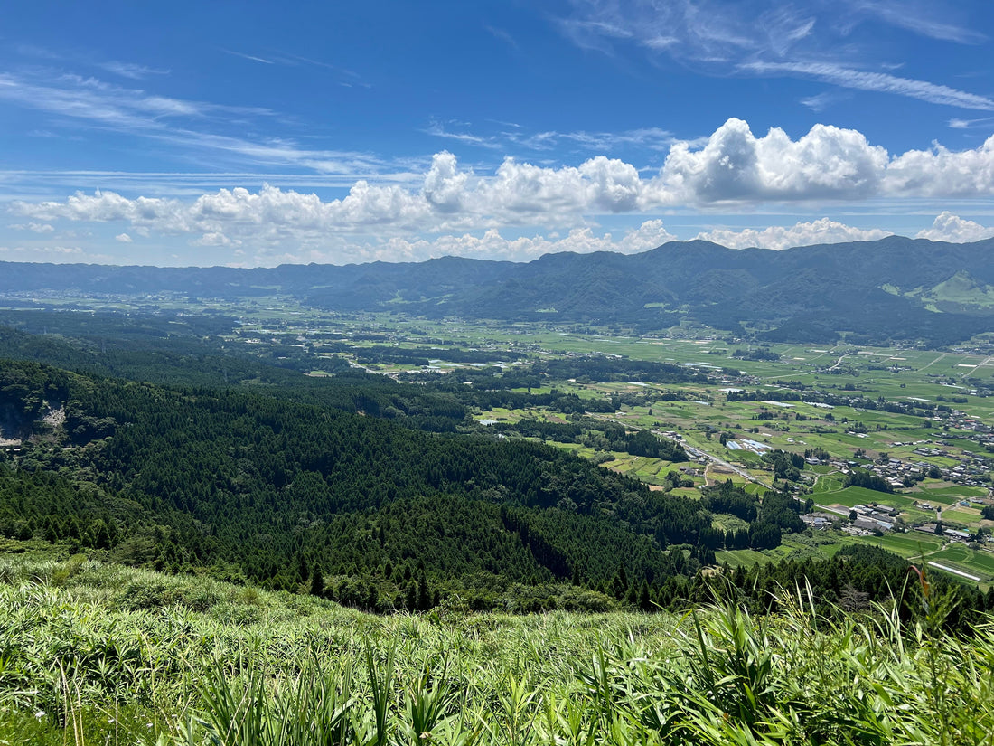 Top or Best Catalog Design Agencies and Companies in Kumamoto, Japan