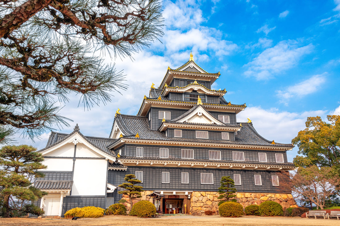 Top or Best Influencer Brand Partnership Agencies in Okayama, Japan