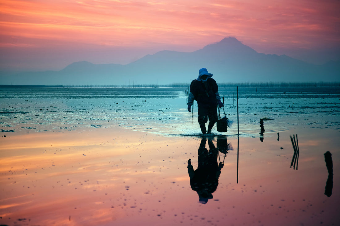 Top or Best Storyboard Agencies and Companies in Kumamoto, Japan