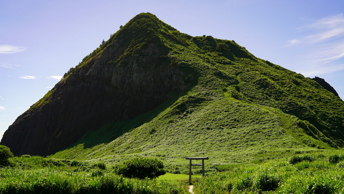 Top or Best AR Filters and Lenses Design Agencies and Companies in Niigata, Japan