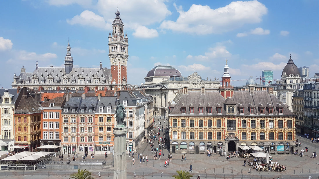 Top or Best X (Twitter) Management Agencies and Companies in Lille, France