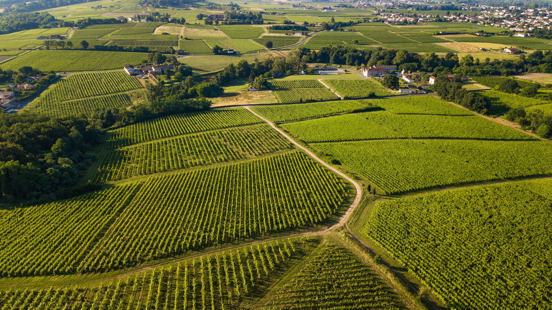 Top or Best Direct Mail Design Agencies and Companies in Bordeaux, France