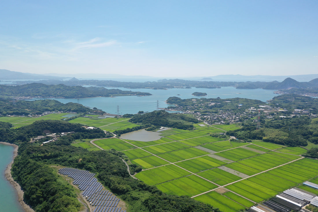 Top or Best Video Editing Agencies and Companies in Kumamoto, Japan