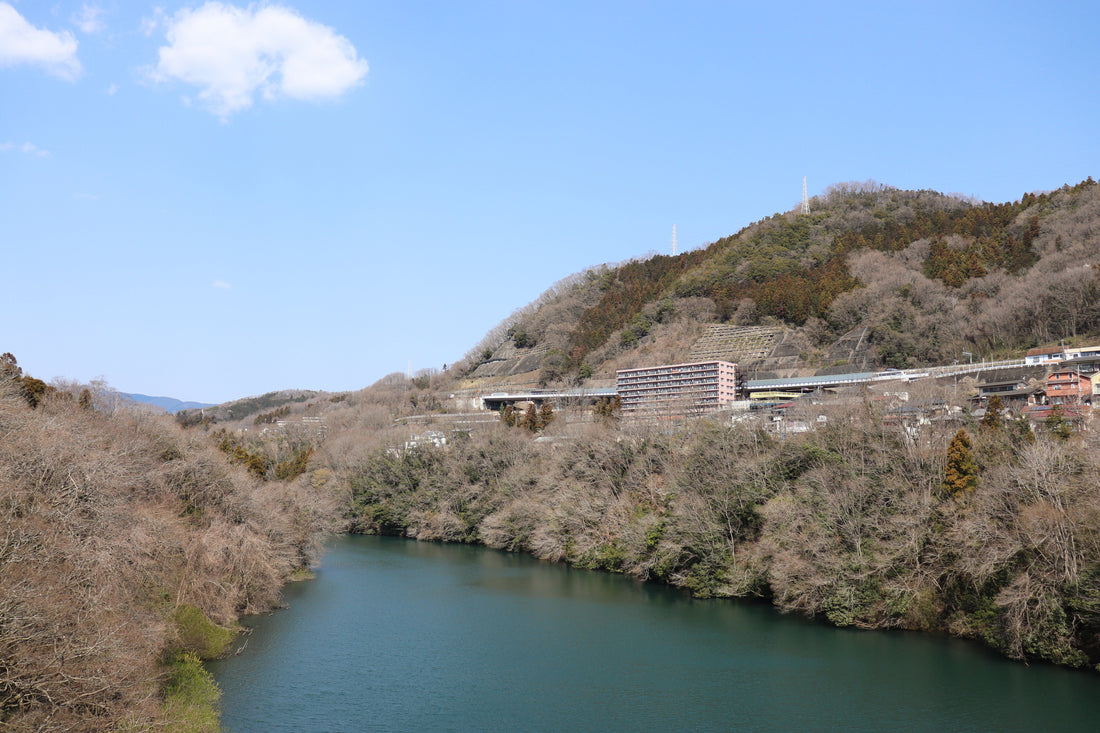 Top or Best Social Media Design Agencies in Sagamihara, Japan