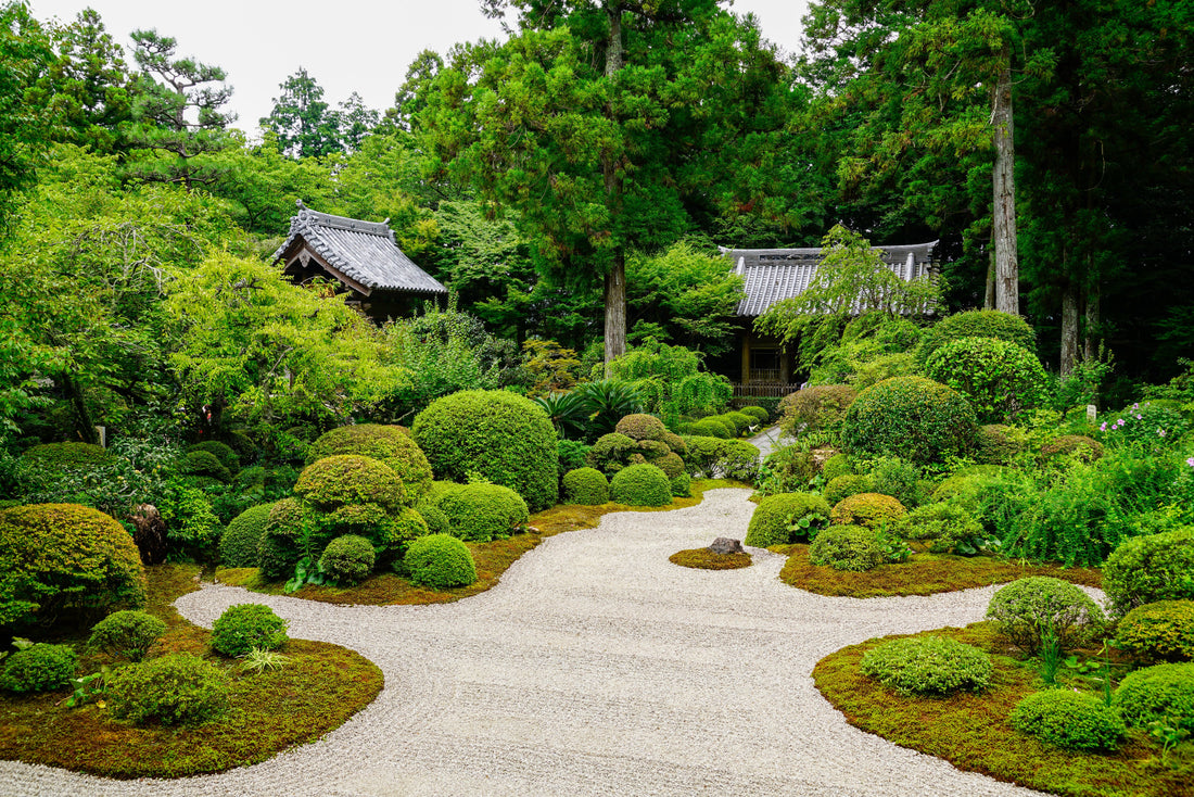 Top or Best Social Media Management Agencies and Companies in Hamamatsu, Japan