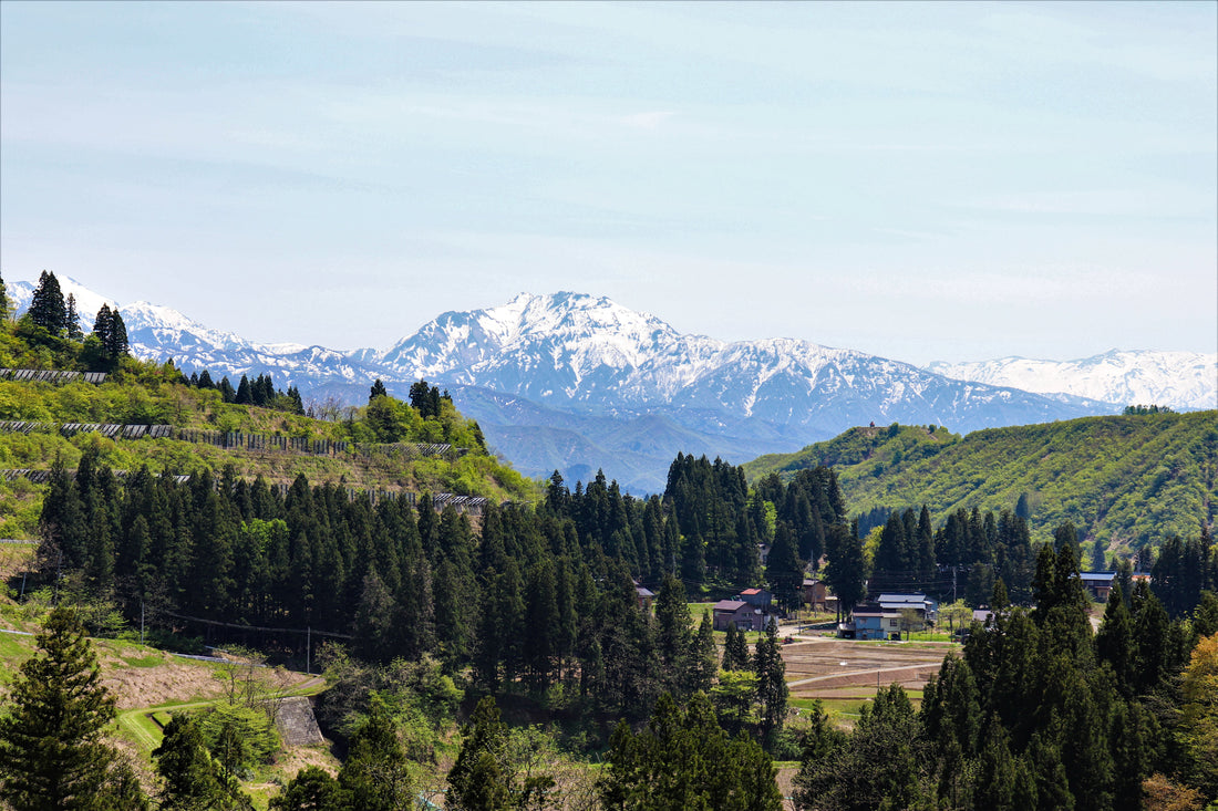 Top or Best Storyboard Artists & Agencies in Niigata, Japan