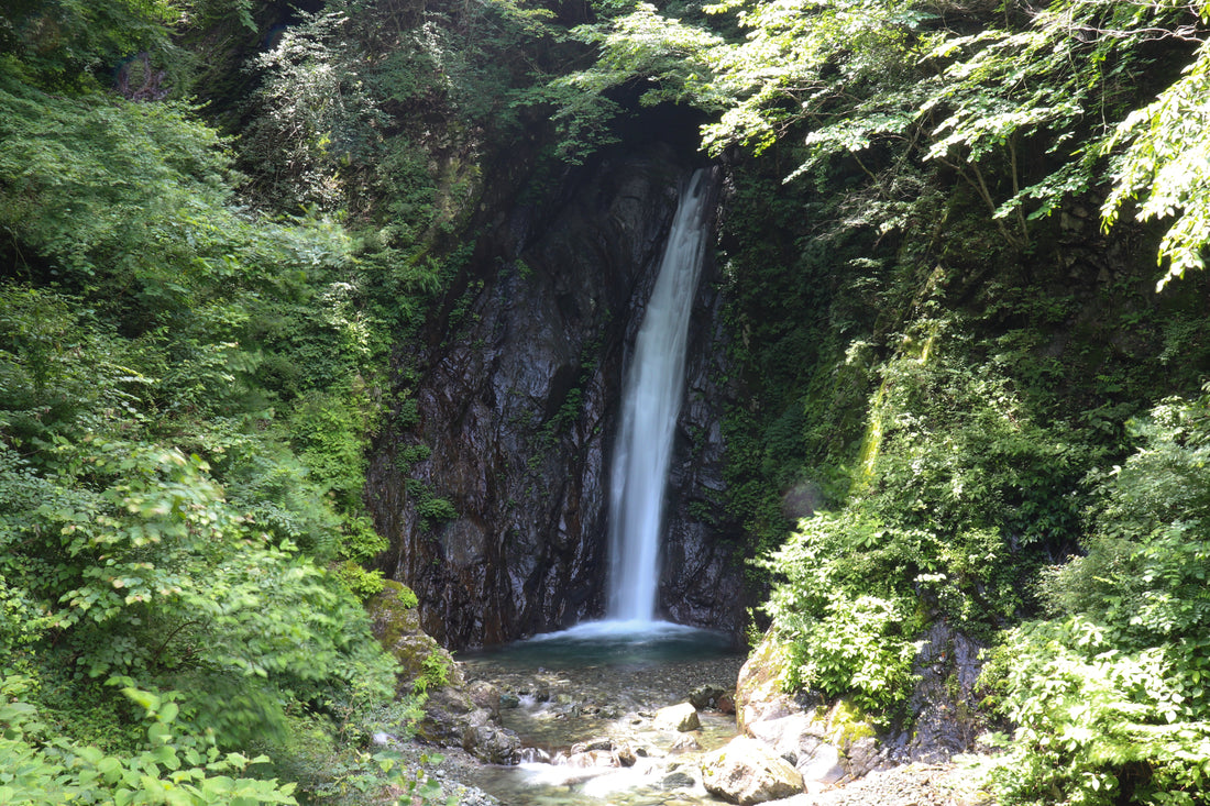 Top or Best Direct Mail Design Agencies in Sagamihara, Japan