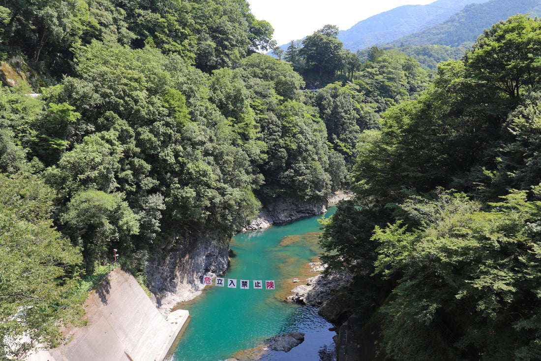 Top or Best Album Cover Design Agencies in Sagamihara, Japan