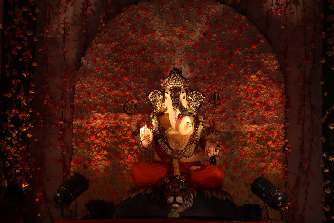 Top or Best Cartoons & Comics Artists and Agencies in Pune, India