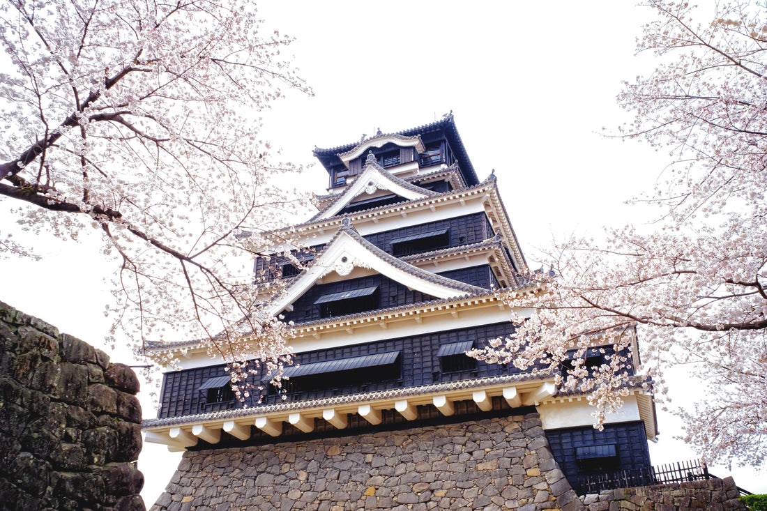 Top or Best Influencer Marketing Campaign Agencies and Companies in Kumamoto, Japan