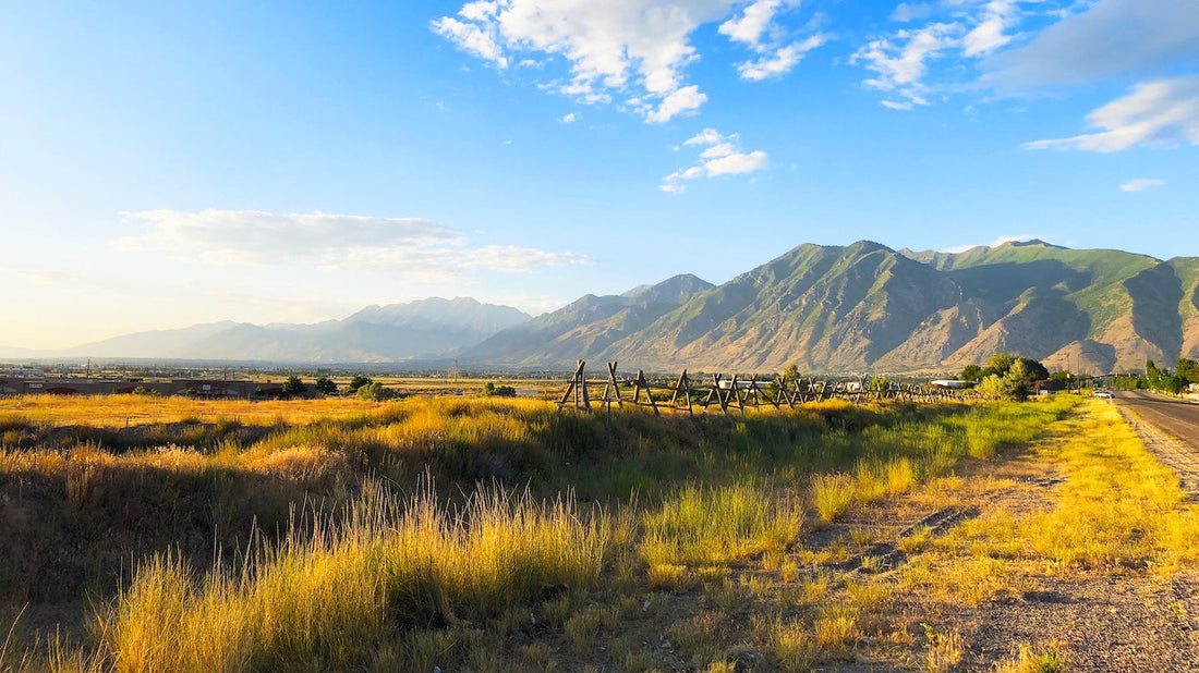 Top or Best Direct Mail Design Agencies and Companies in Spanish Fork, Utah