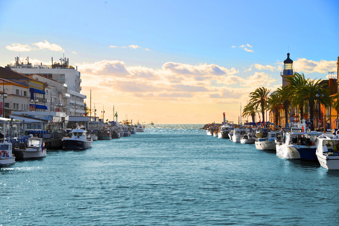 Top or Best Drawing &amp; Illustration Agencies and Companies in Montpellier, France