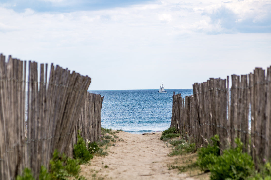 Top or Best Instagram Management Agencies and Companies in Montpellier, France