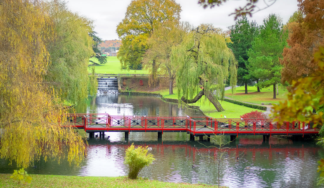 Top or Best Graphics for Streamers Agencies and Companies in Leeds, England