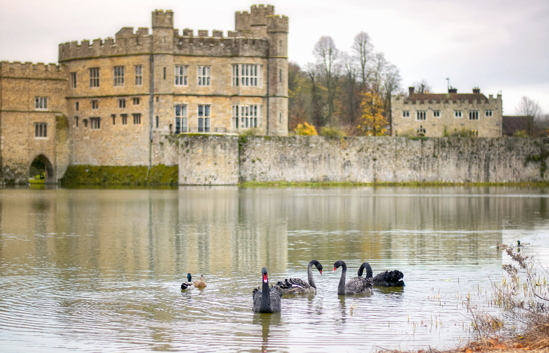 Top or Best Brochure Design Agencies and Companies in Leeds, England