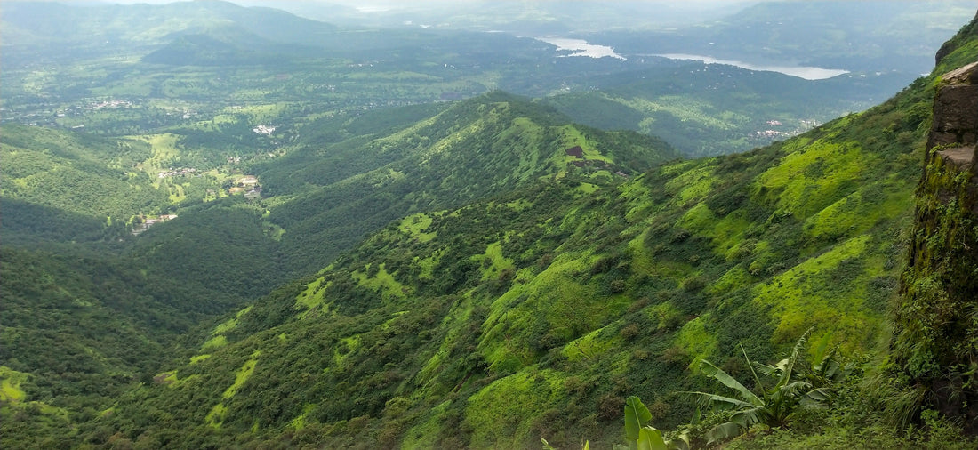 Top or Best Brand Collaboration Agencies and Companies in Pune, India