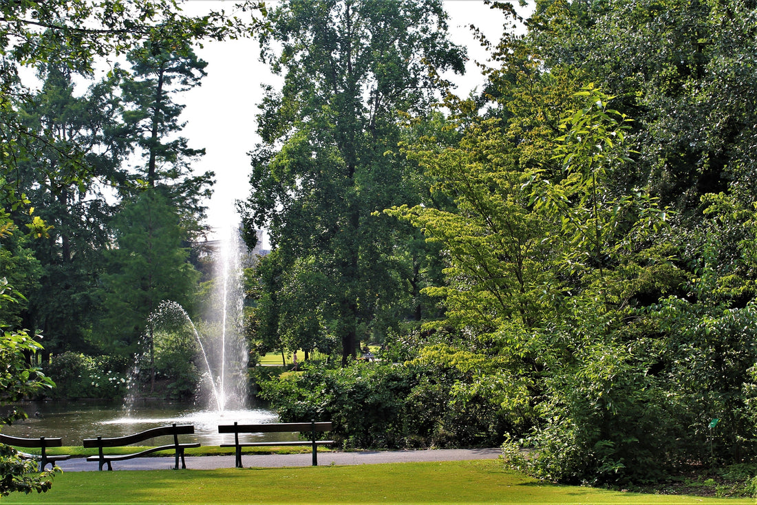 Top or Best Mural Design Agencies and Artists in Nantes, France