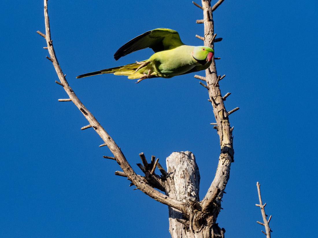 Top or Best Presentation Design Agencies in Sagamihara, Japan