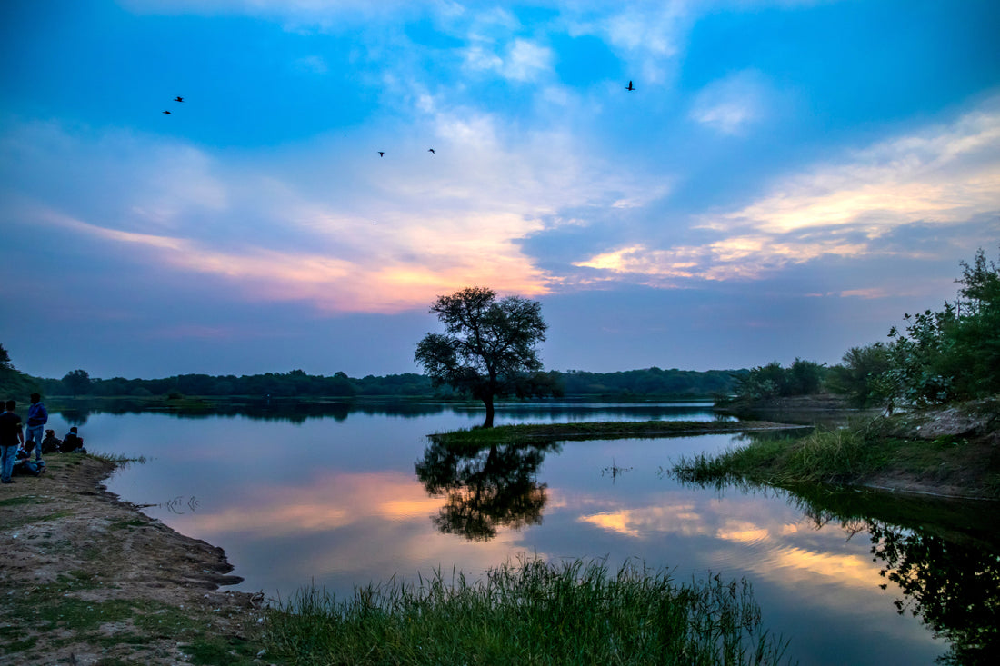 Top or Best Storyboard Agencies and Artists in Ahmedabad, India