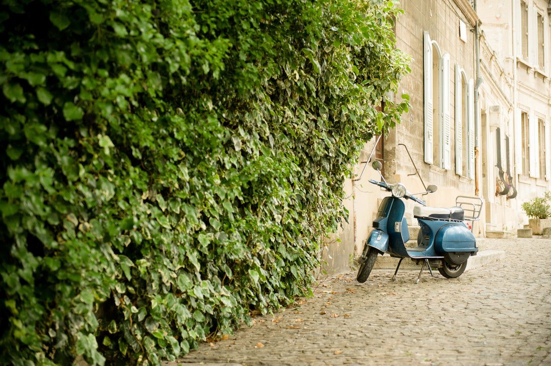 Top or Best Facebook Management Agencies and Companies in Montpellier, France