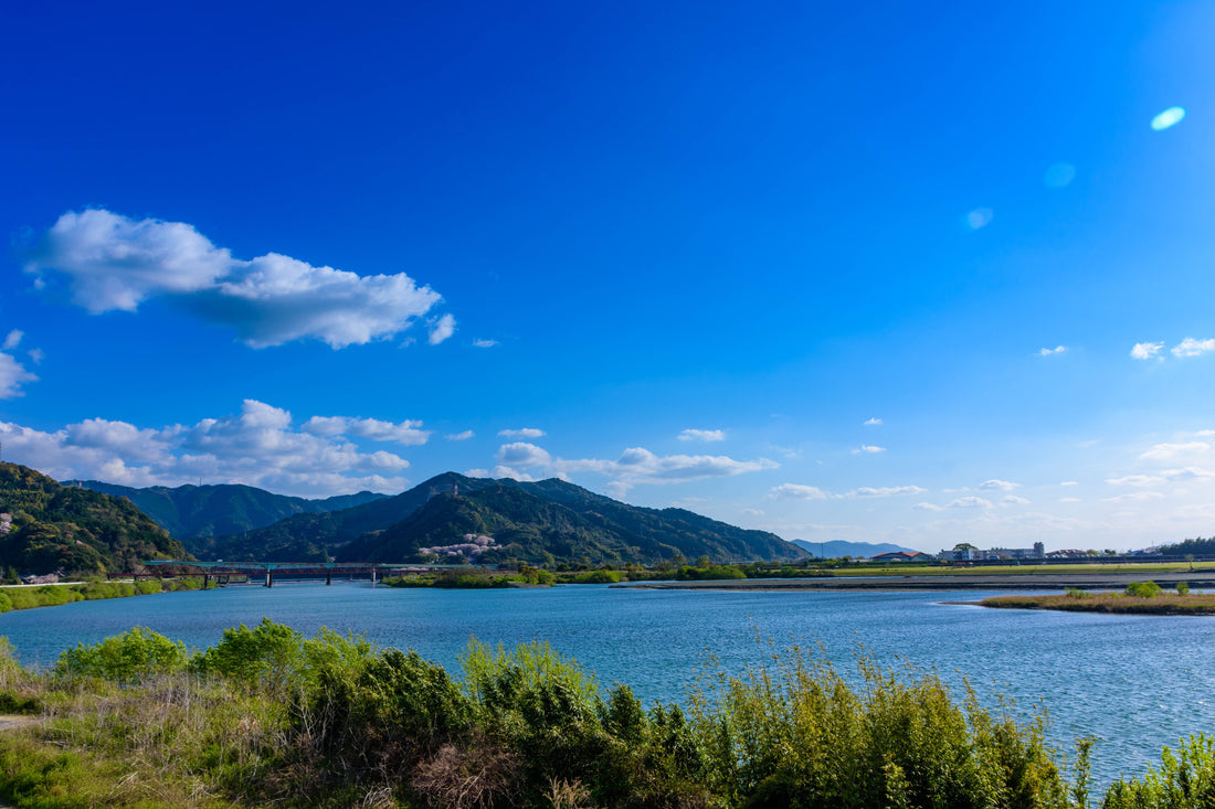 Top or Best Flyer Design Agencies and Companies in Kumamoto, Japan