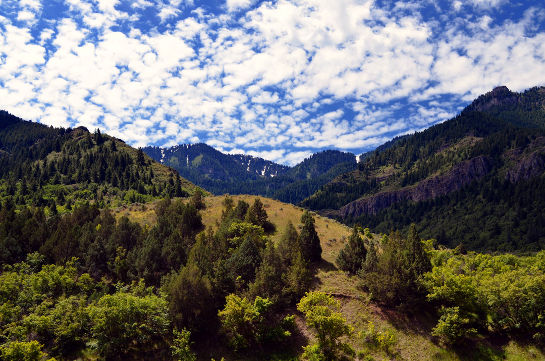 Top or Best Graphics for Streamers Agencies and Companies in Logan, Utah