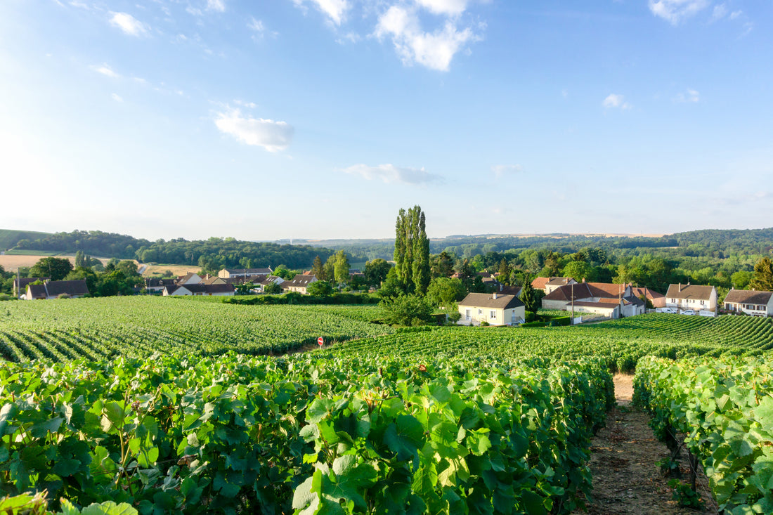 Top or Best Talent Management Agencies and Companies in Bordeaux, France