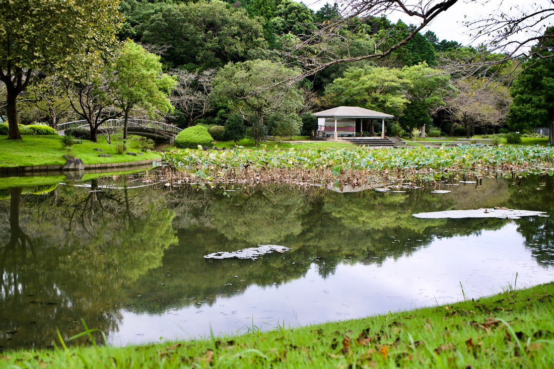 Top or Best LinkedIn Management Agencies and Companies in Hamamatsu, Japan