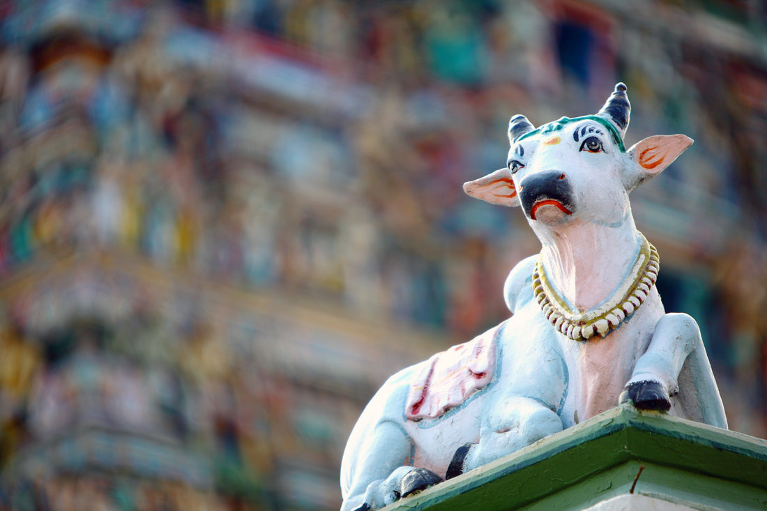 Top or Best Infographic Design Agencies and Companies in Chennai, India