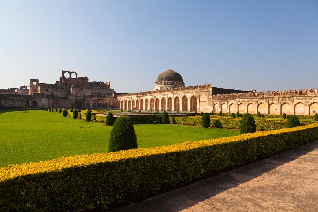 Top or Best TikTok Management Services in Hyderabad, India