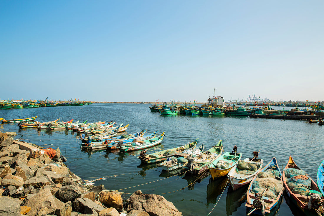 Top or Best T-Shirt &amp; Merchandise Design Agencies and Companies in Chennai, India