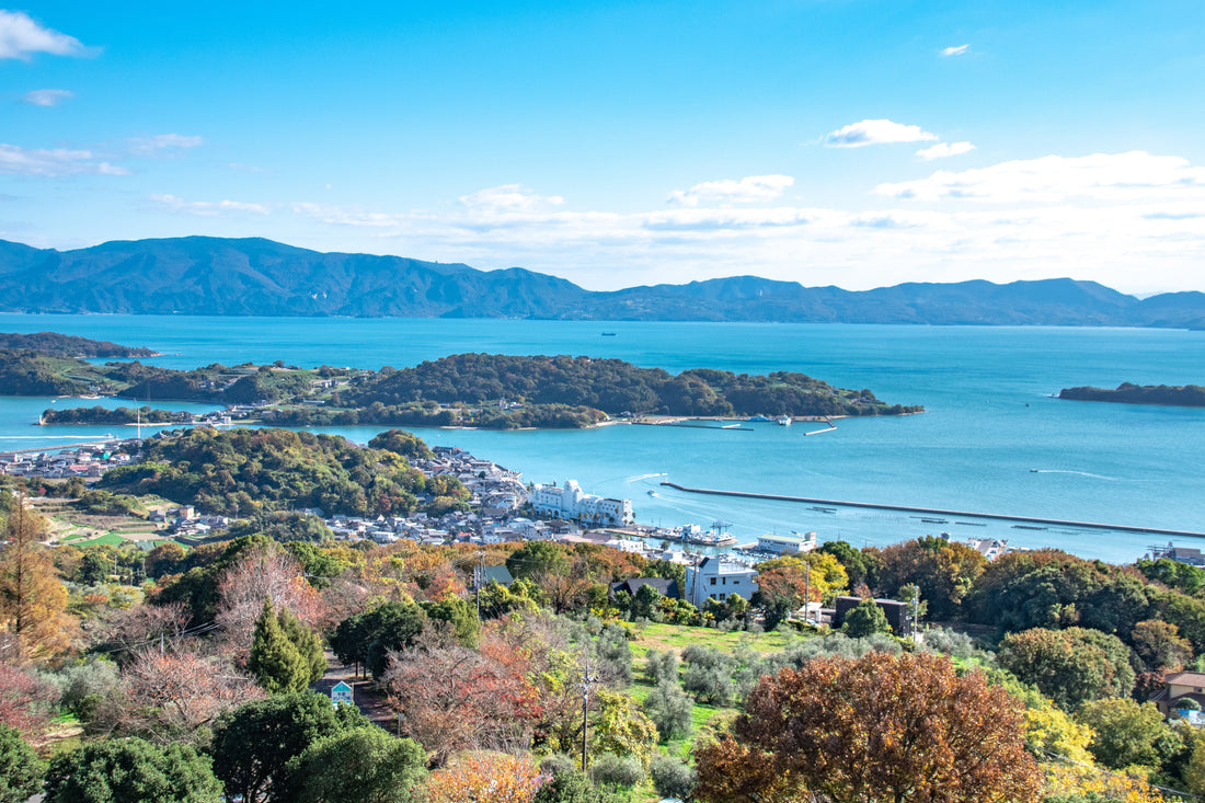 Top or Best Brand Identity Package Providers in Okayama, Japan